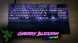 Cherry Blossom Razer Chroma Profile